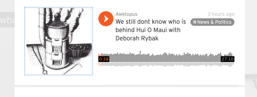 We still dont know who is behind Hui O Maui with Deborah Rybak